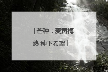 芒种：麦黄梅熟 种下希望