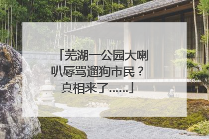 芜湖一公园大喇叭辱骂遛狗市民？真相来了……