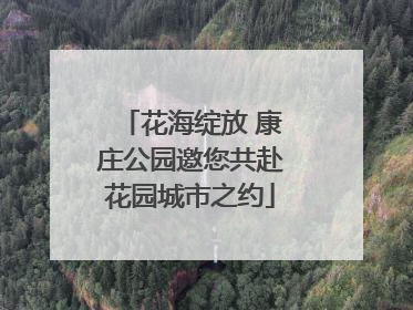 花海绽放 康庄公园邀您共赴花园城市之约