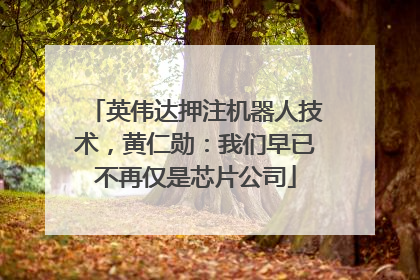 英伟达押注机器人技术，黄仁勋：我们早已不再仅是芯片公司