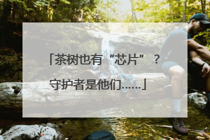 茶树也有“芯片”？守护者是他们……