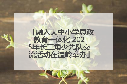 融入大中小学思政教育一体化 2025年长三角少先队交流活动在温岭举办