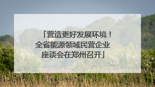 营造更好发展环境！全省能源领域民营企业座谈会在郑州召开