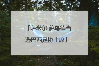 萨米尔·萨乌德当选巴西足协主席