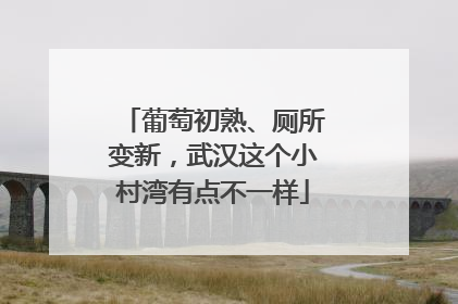 葡萄初熟、厕所变新，武汉这个小村湾有点不一样