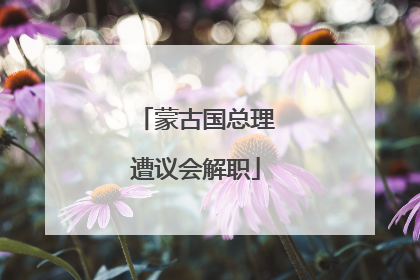 蒙古国总理遭议会解职