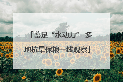 蓄足“水动力” 多地抗旱保粮一线观察