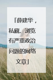 薛建华，私藏、浏览有严重政治问题的网络文章
