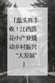 藠头喜丰收！江西莲花小产业撬动乡村振兴“大发展”
