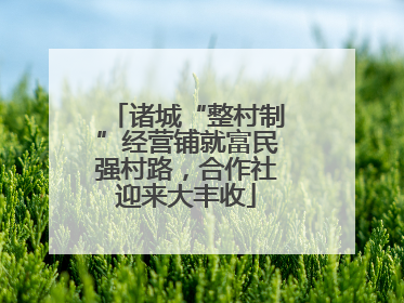 诸城“整村制”经营铺就富民强村路，合作社迎来大丰收