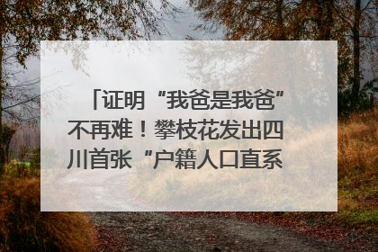 证明“我爸是我爸”不再难！攀枝花发出四川首张“户籍人口直系亲属关系谱”