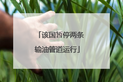 该国暂停两条输油管道运行
