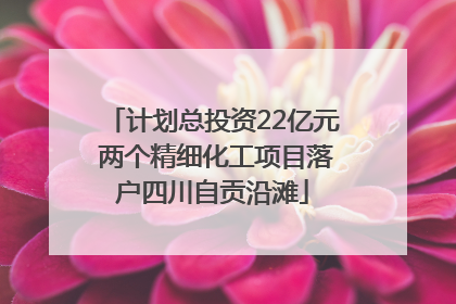 计划总投资22亿元 两个精细化工项目落户四川自贡沿滩