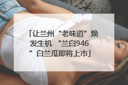 让兰州“老味道”焕发生机 “兰白946”白兰瓜即将上市