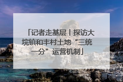 记者走基层丨探访大垸镇和丰村土地“三统一分”运营机制