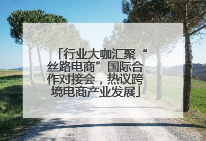 行业大咖汇聚“丝路电商”国际合作对接会，热议跨境电商产业发展