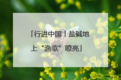 行进中国丨盐碱地上“渔歌”嘹亮