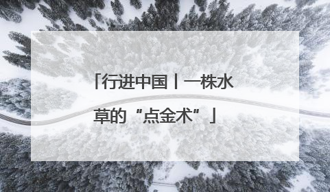 行进中国丨一株水草的“点金术”