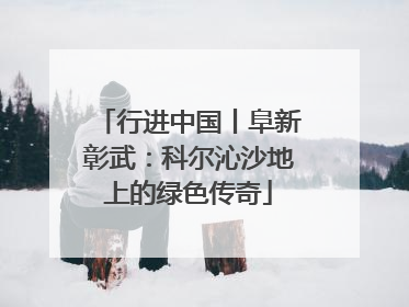 行进中国丨阜新彰武：科尔沁沙地上的绿色传奇