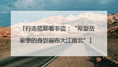 行走赣鄱看非遗：“希望岳家拳的身影遍布大江南北”
