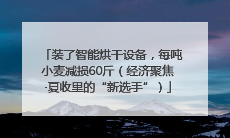 装了智能烘干设备，每吨小麦减损60斤（经济聚焦·夏收里的“新选手”）