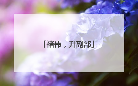 褚伟，升副部