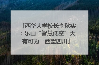 西华大学校长李秋实：乐山“智慧低空”大有可为｜西望四川