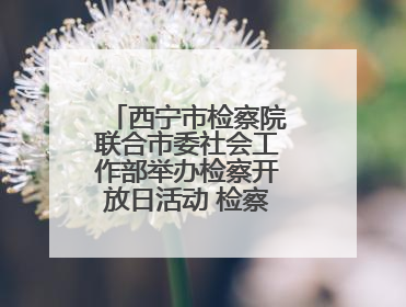 西宁市检察院联合市委社会工作部举办检察开放日活动 检察官讲述如何保护“少年的你”