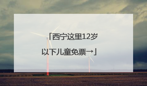 西宁这里12岁以下儿童免票→