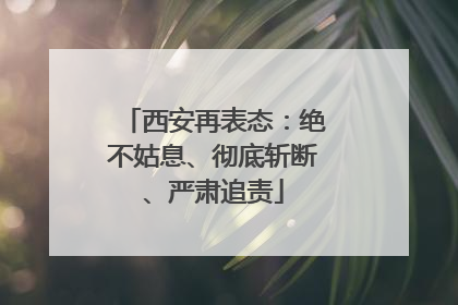 西安再表态：绝不姑息、彻底斩断、严肃追责