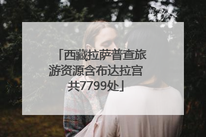 西藏拉萨普查旅游资源含布达拉宫共7799处