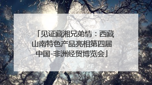 见证藏湘兄弟情：西藏山南特色产品亮相第四届中国-非洲经贸博览会