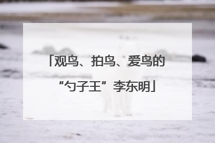 观鸟、拍鸟、爱鸟的“勺子王”李东明