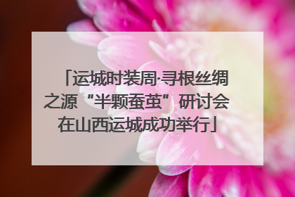 运城时装周·寻根丝绸之源“半颗蚕茧”研讨会在山西运城成功举行