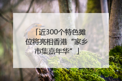 近300个特色摊位将亮相香港“家乡市集嘉年华”