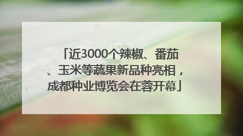 近3000个辣椒、番茄、玉米等蔬果新品种亮相，成都种业博览会在蓉开幕