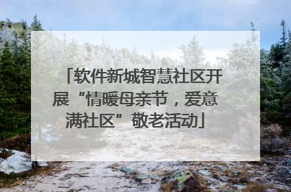 软件新城智慧社区开展“情暖母亲节，爱意满社区”敬老活动