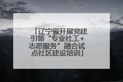 辽宁省开展党建引领“专业社工+志愿服务”融合试点社区建设培训