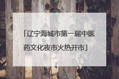 辽宁海城市第一届中医药文化夜市火热开市