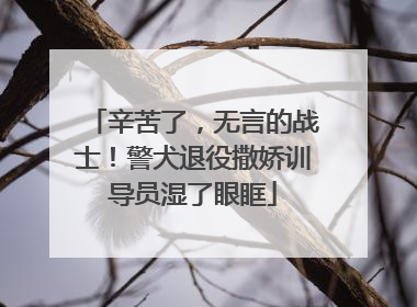 辛苦了，无言的战士！警犬退役撒娇训导员湿了眼眶