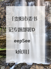 贵阳市委书记专题部署DeepSeek应用