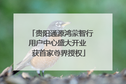 贵阳通源鸿蒙智行用户中心盛大开业 获首家尊界授权