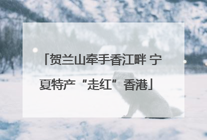 贺兰山牵手香江畔 宁夏特产“走红”香港