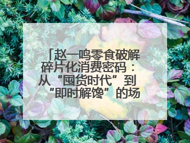 赵一鸣零食破解碎片化消费密码：从“囤货时代”到“即时解馋”的场景革新