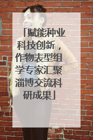 赋能种业科技创新，作物表型组学专家汇聚淄博交流科研成果
