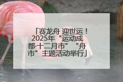 赛龙舟 迎世运！2025年“运动成都·十二月市”“舟市”主题活动举行