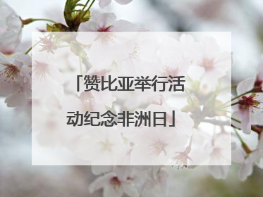 赞比亚举行活动纪念非洲日