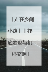走在乡间小路上丨祁底麦浪与机杼交响