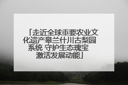 走近全球重要农业文化遗产皋兰什川古梨园系统 守护生态瑰宝 激活发展动能
