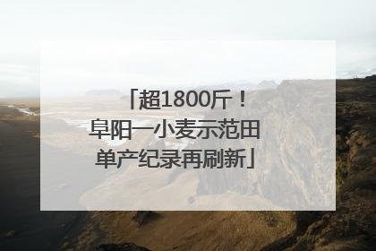 超1800斤！阜阳一小麦示范田单产纪录再刷新